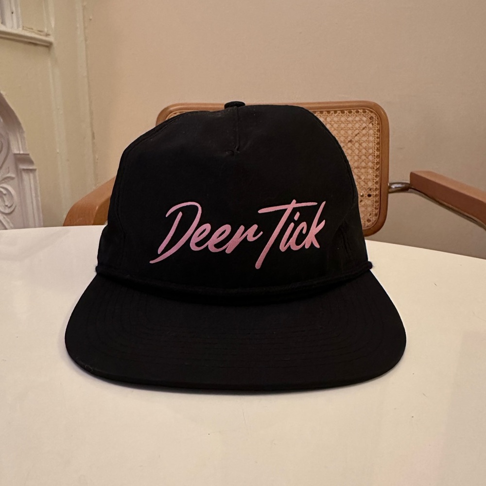 Deer Tick Dino Script Hat - Picture 2 of 3